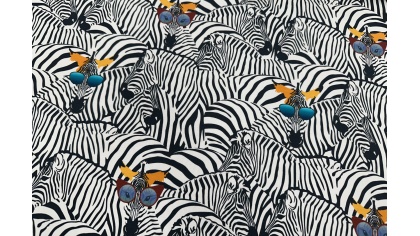 Zebras saulesbrillēs - kokvilnas trikotāža