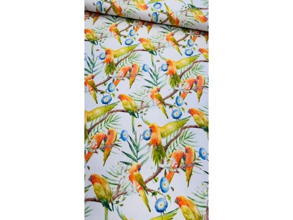 Papagiļi uz balta – kokvilnas trikotāža