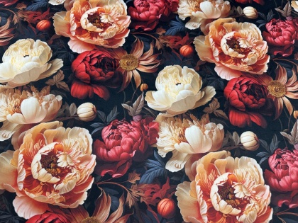 Pāvu simfonija - samts