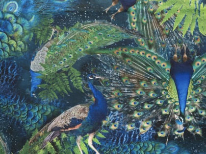Pāvu simfonija - samts