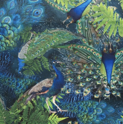Pāvu simfonija - samts